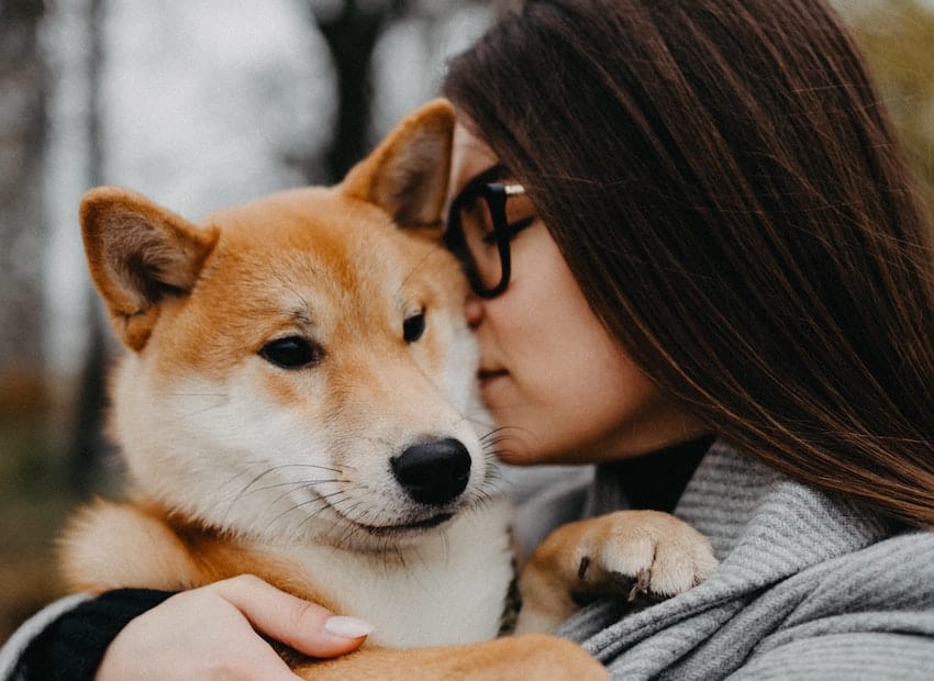 Why Dogs Comfortingly Lick Your Face When You Cry