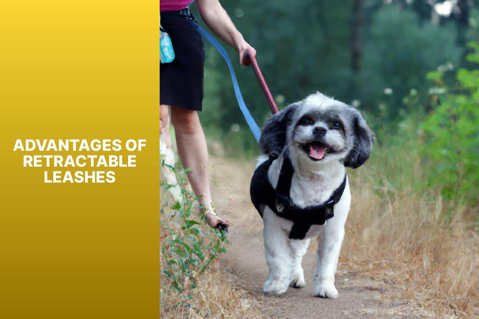 Advantages of Retractable Leashes - Why Do Dog Owners Use Retractable Leashes 